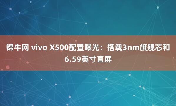 锦牛网 vivo X500配置曝光：搭载3nm旗舰芯和6.59英寸直屏