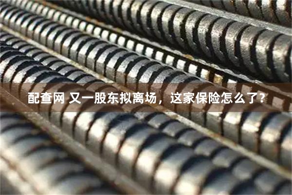 配查网 又一股东拟离场，这家保险怎么了？
